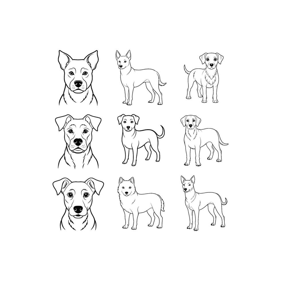 Hand-Drawn Outlines of a puppy dog set vector