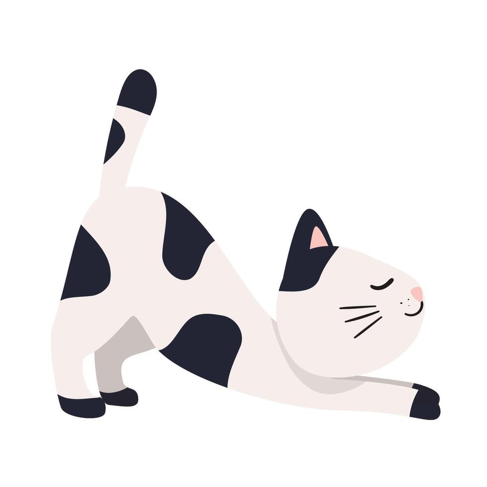Cat Set Collection vector