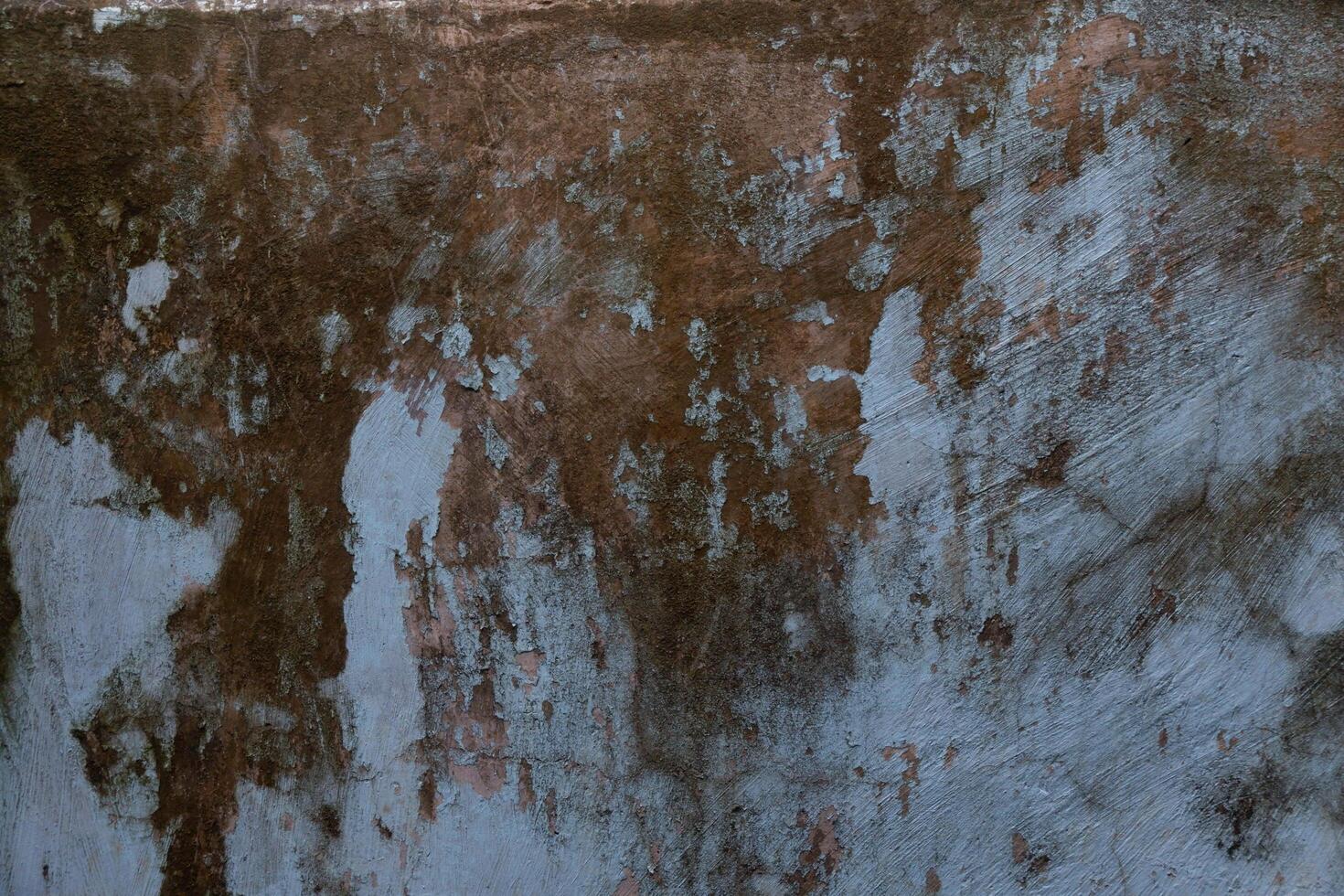 photography of dirty mossy wall background texture photo