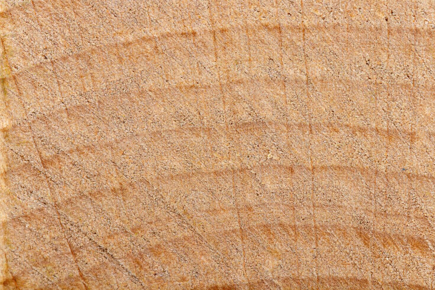 macro texture of yellow wood photo