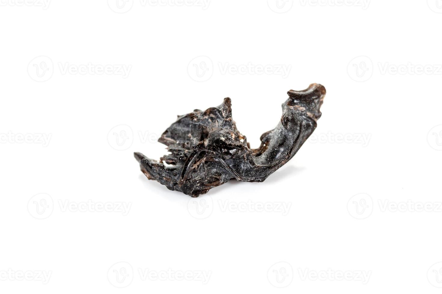 Macro stone mineral meteorite tektite on white background photo