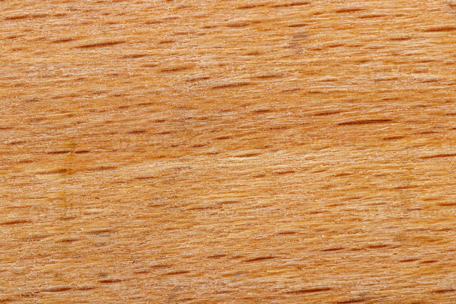 macro texture of yellow wood photo