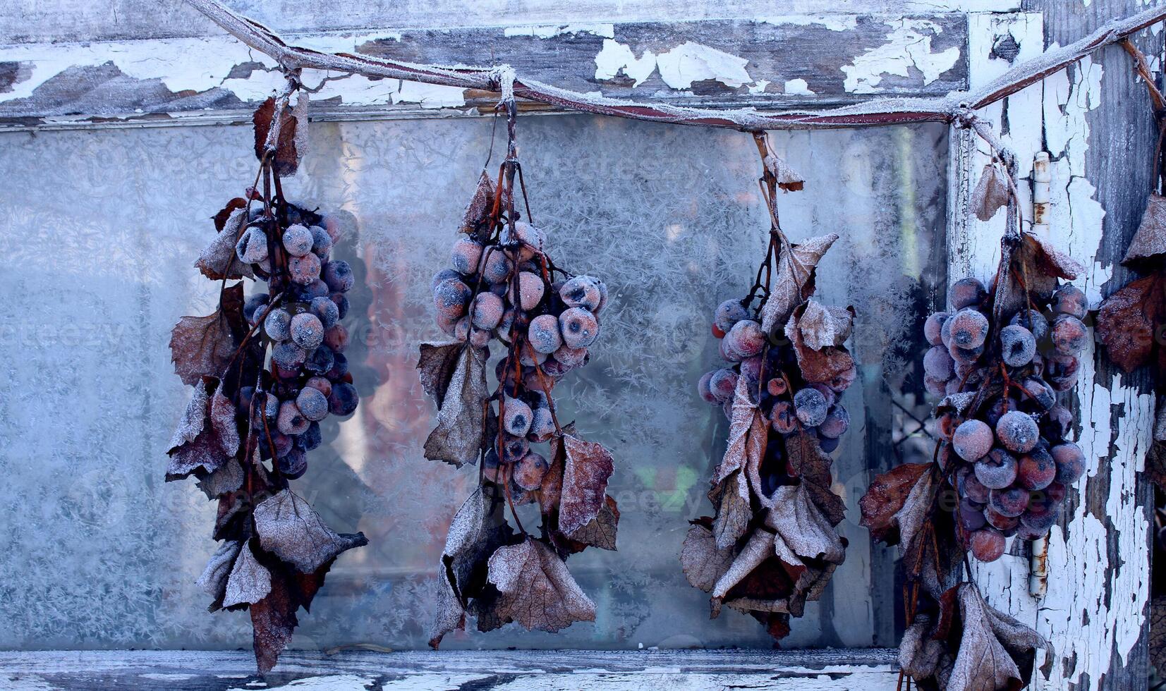 Frozen grapes over old wooden plank background photo
