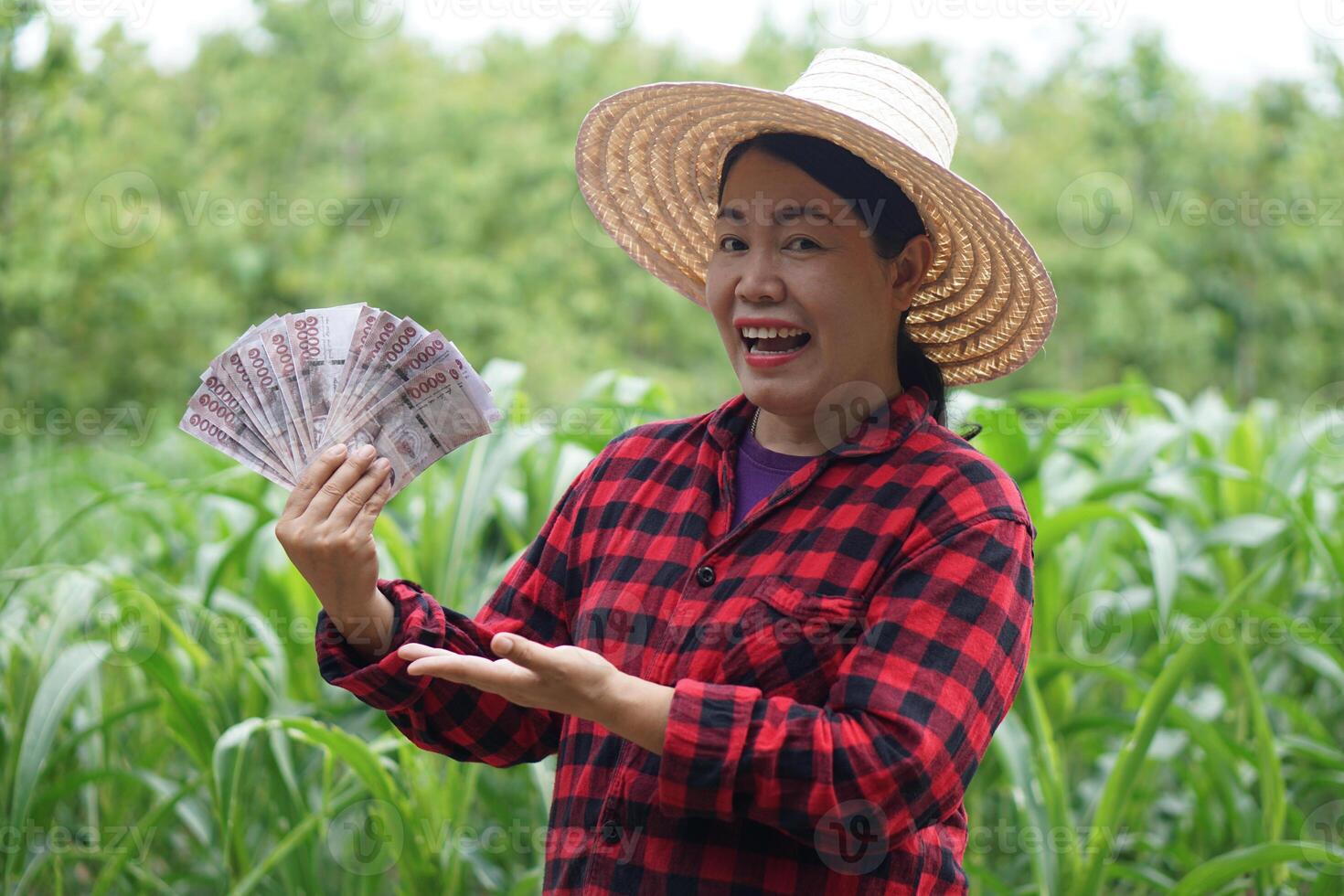 Happy Asian woman farmer is at garden, wears hat, red plaid shirt, holds Thai banknote money . Concept , Farmer happy to get profit, income, agriculture supporting money. photo