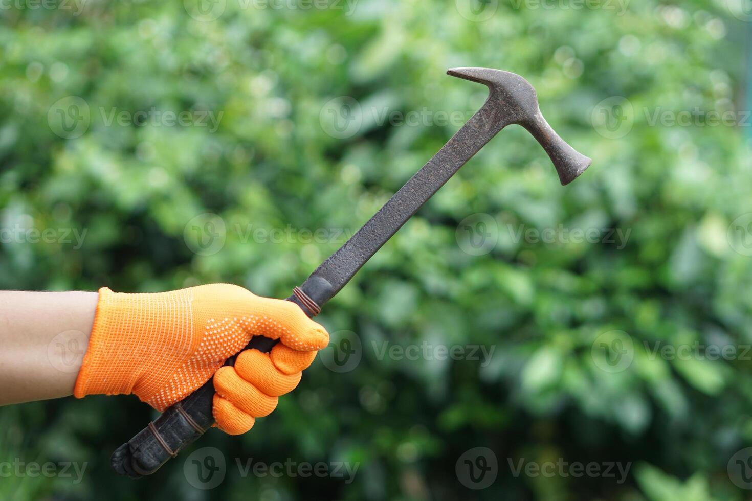Hand wear glove, hold hammer. Outdoor background. Concept, work tool or equipment for carpenter, craftsman or construction worker for hitting metal nails to attach with wooden surface or other purpose photo