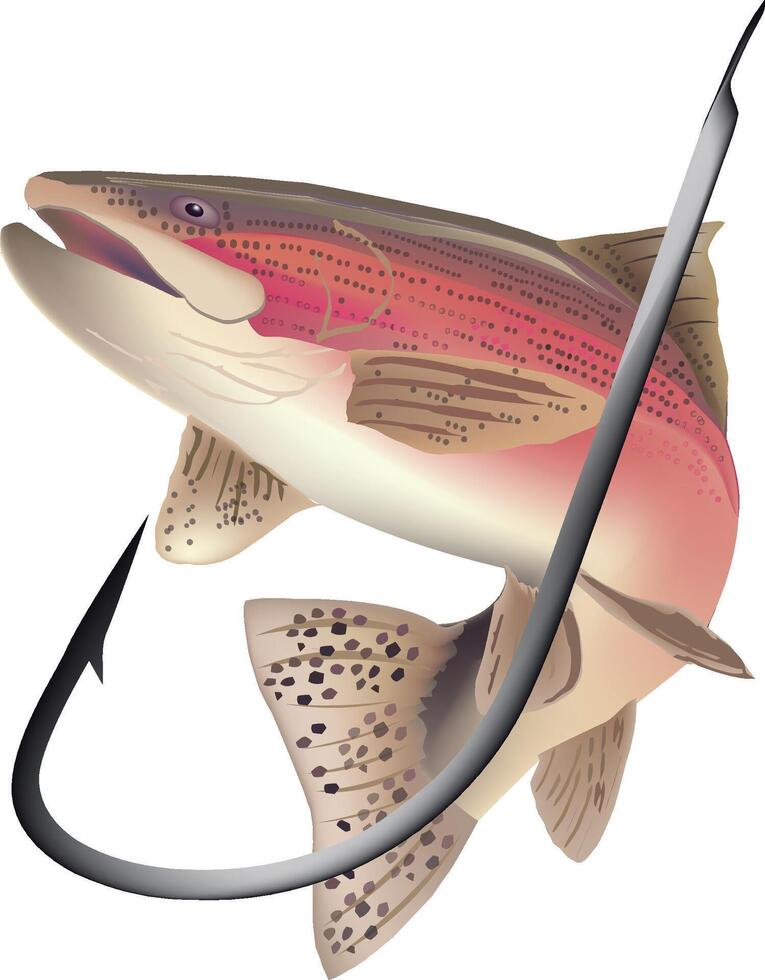 salmon trout freshwater fish fish with angler's hook vector