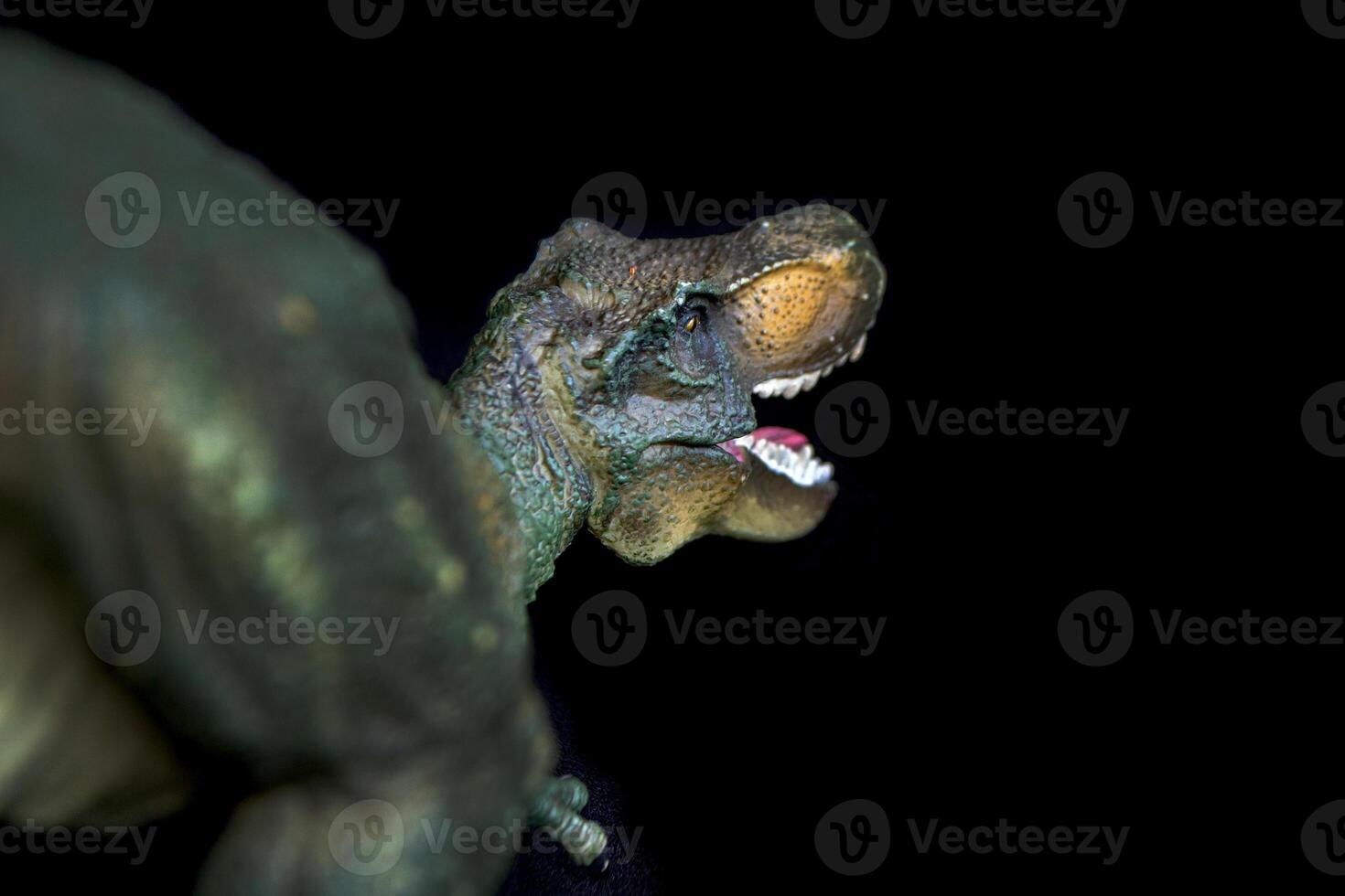 Tyrannosaurus dinosaurs toy photo