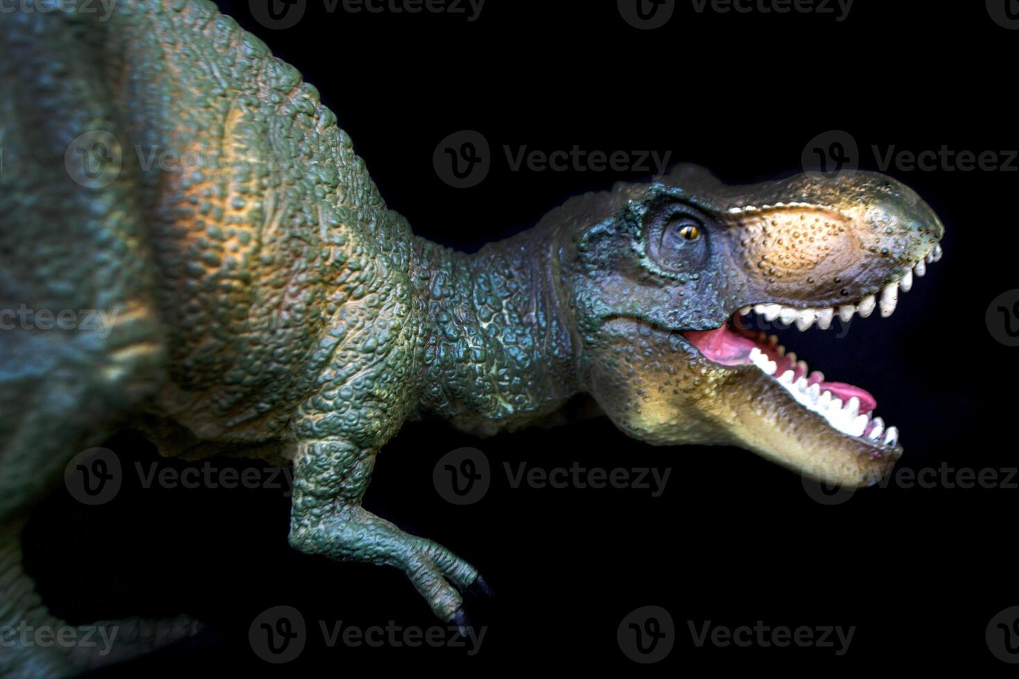 Tyrannosaurus dinosaurs toy on white background photo