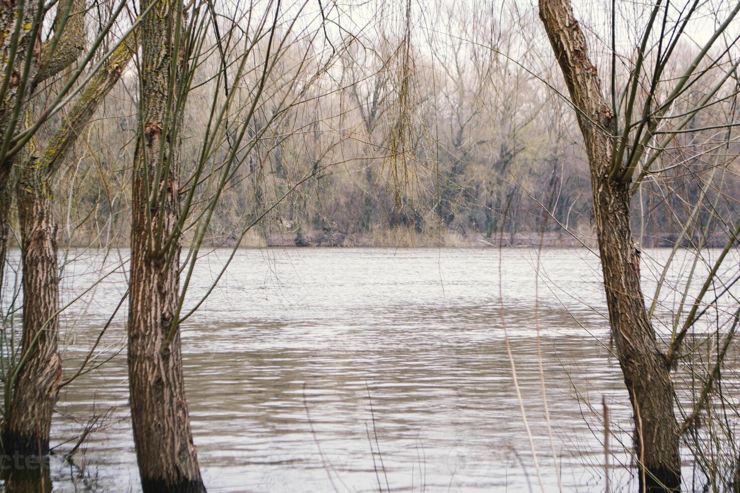 The river in spring time is in the background photo