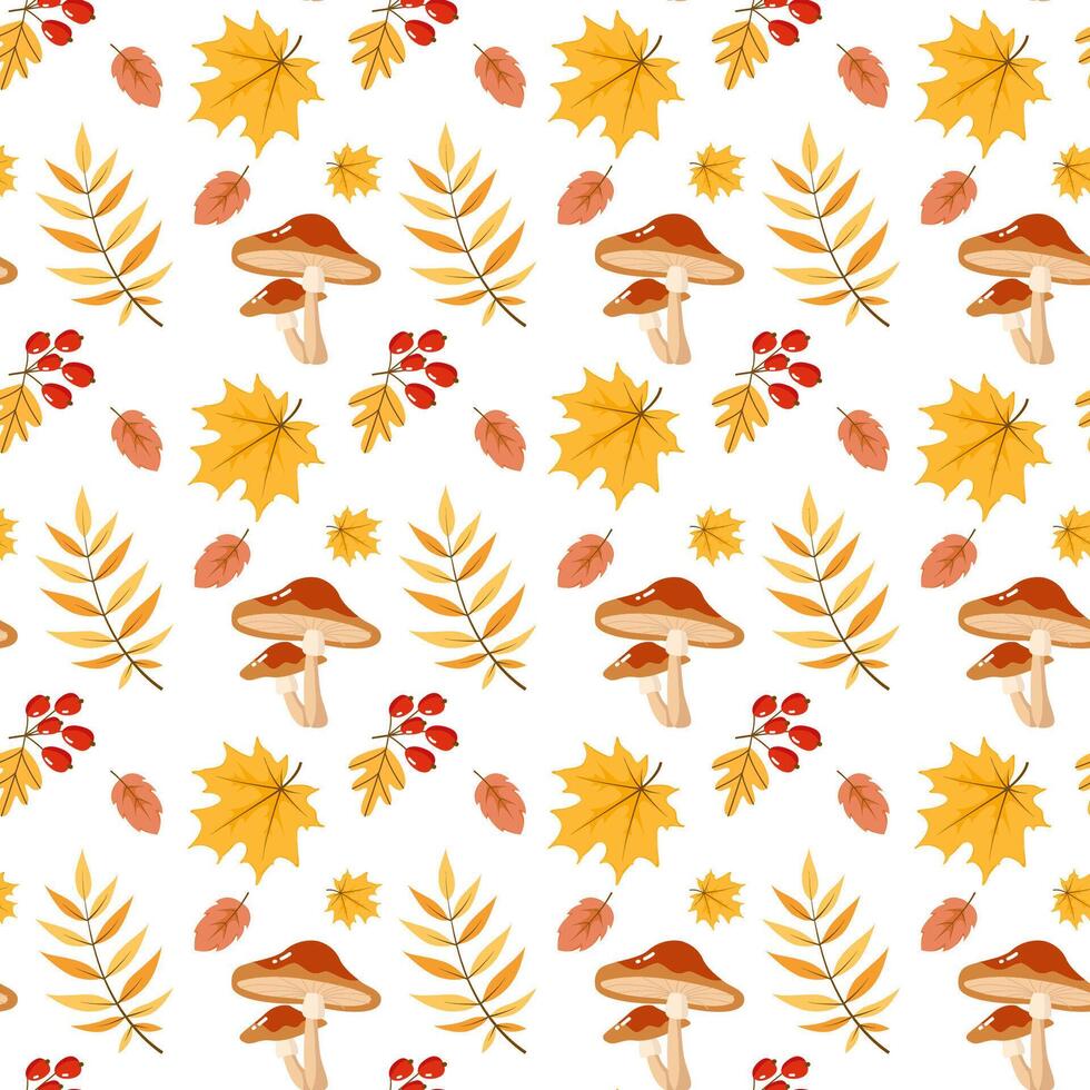 autumn leaves and mushrooms on a white background vector