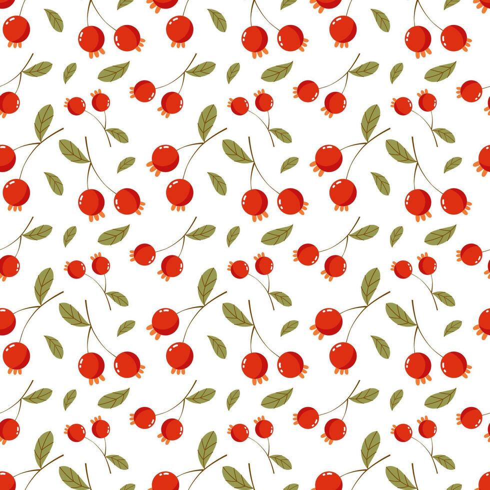autumn seamless pattern with red currant berries vector