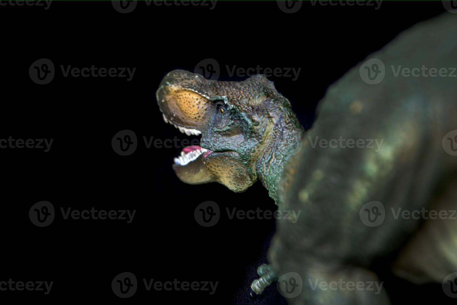 Tyrannosaurus dinosaurs toy photo