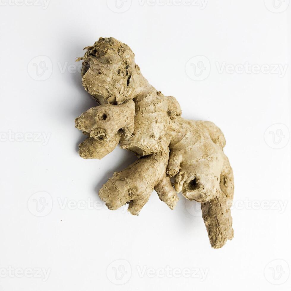 Ginger root isolated on white background photo