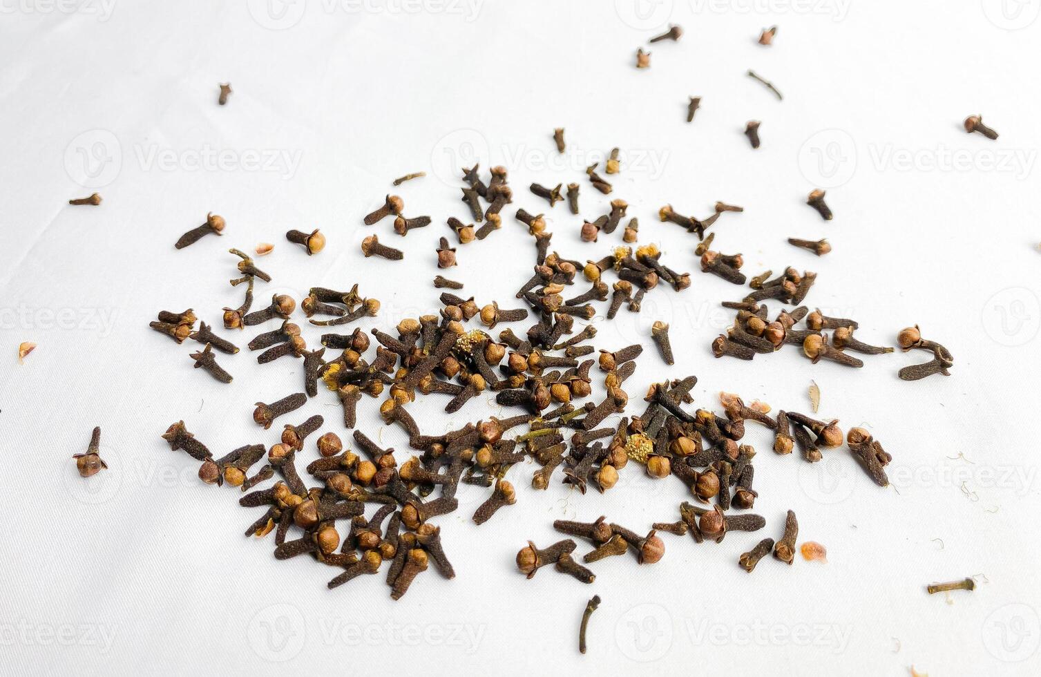 Clove spice isolated on a white background. The view from top. photo