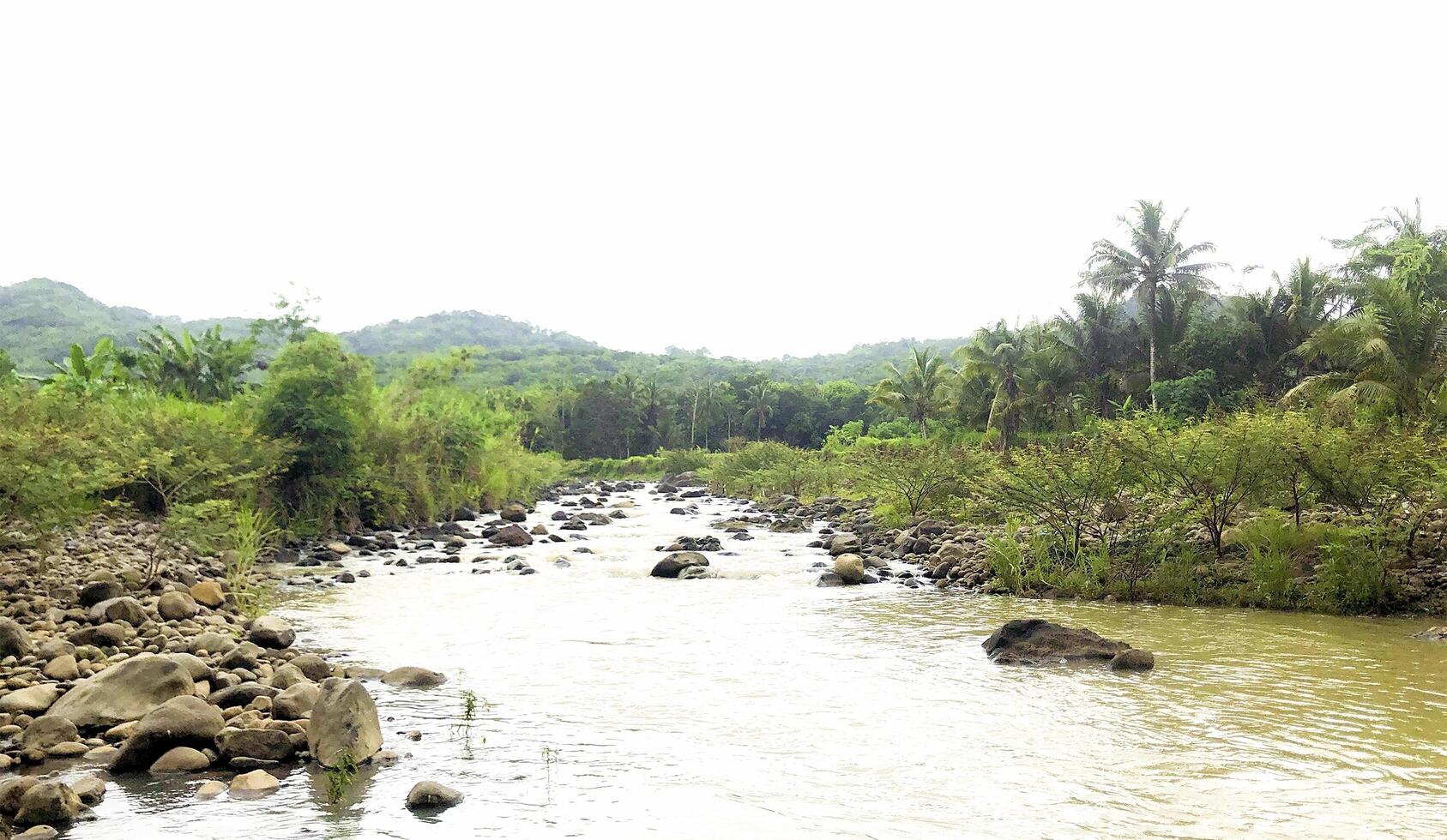 Flooded river nature background photo