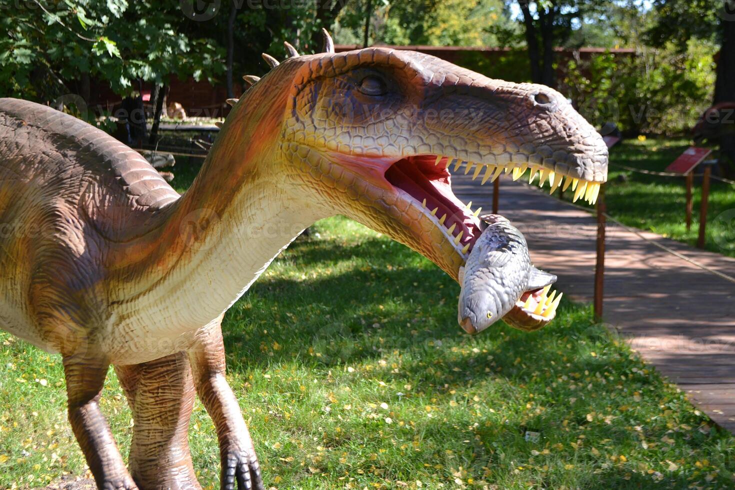 Close up head Parasaurolophus dinosaur in dino park for children photo