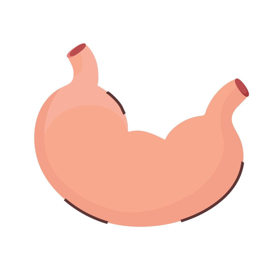 Stomach icon clipart avatar logtotype isolated illustration vector