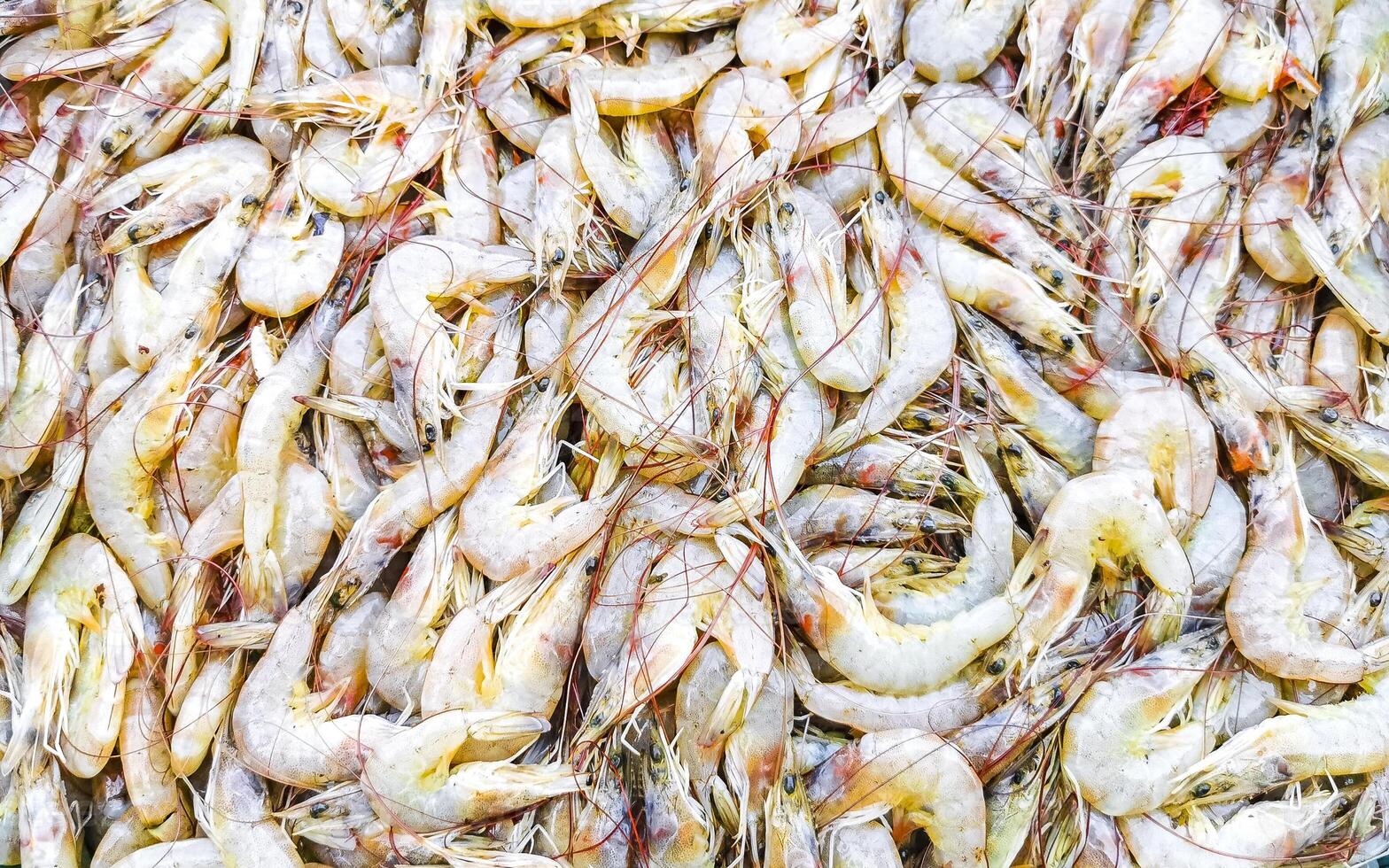 Shrimps on the market texture pattern in Puerto Escondido Mexico. photo