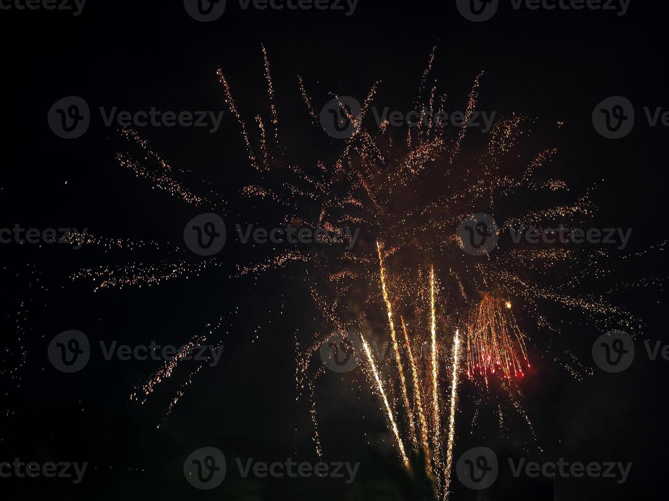 fireworks in the night sky photo