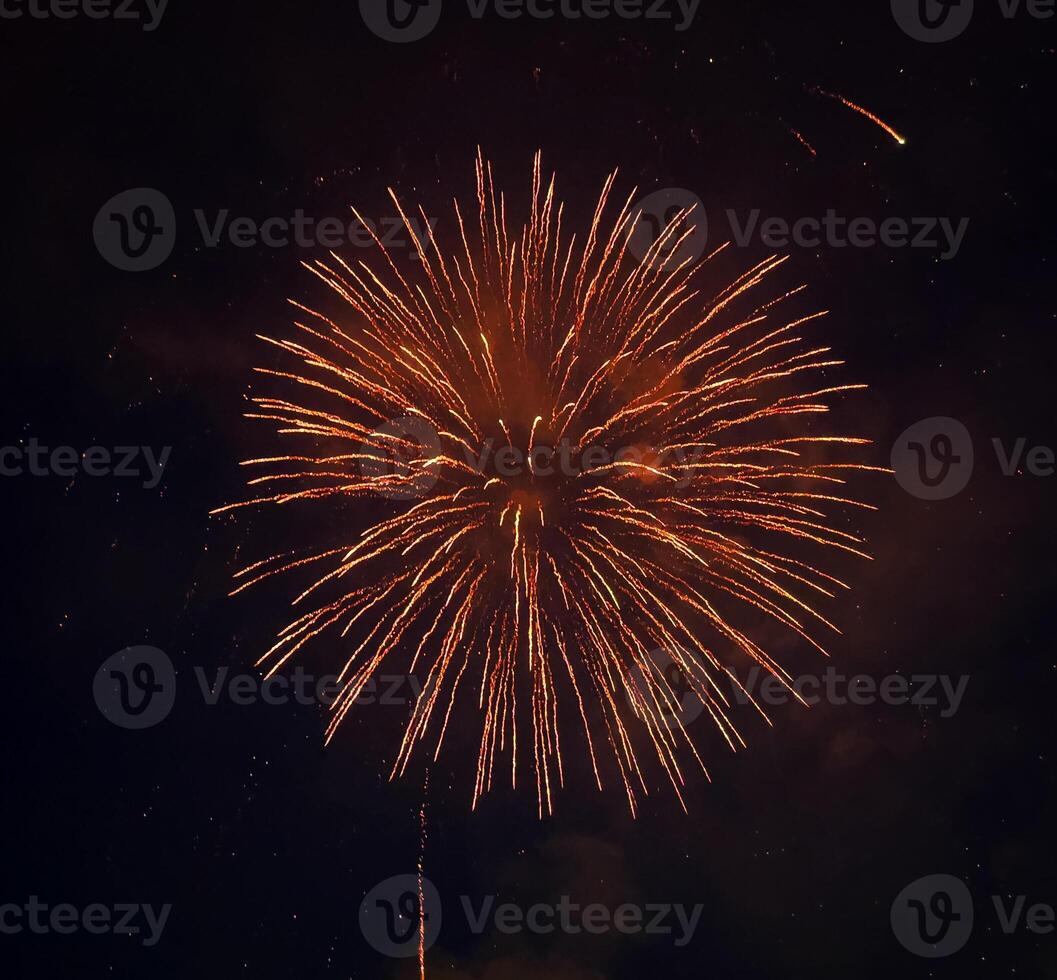 a large firework is lit up in the dark sky photo