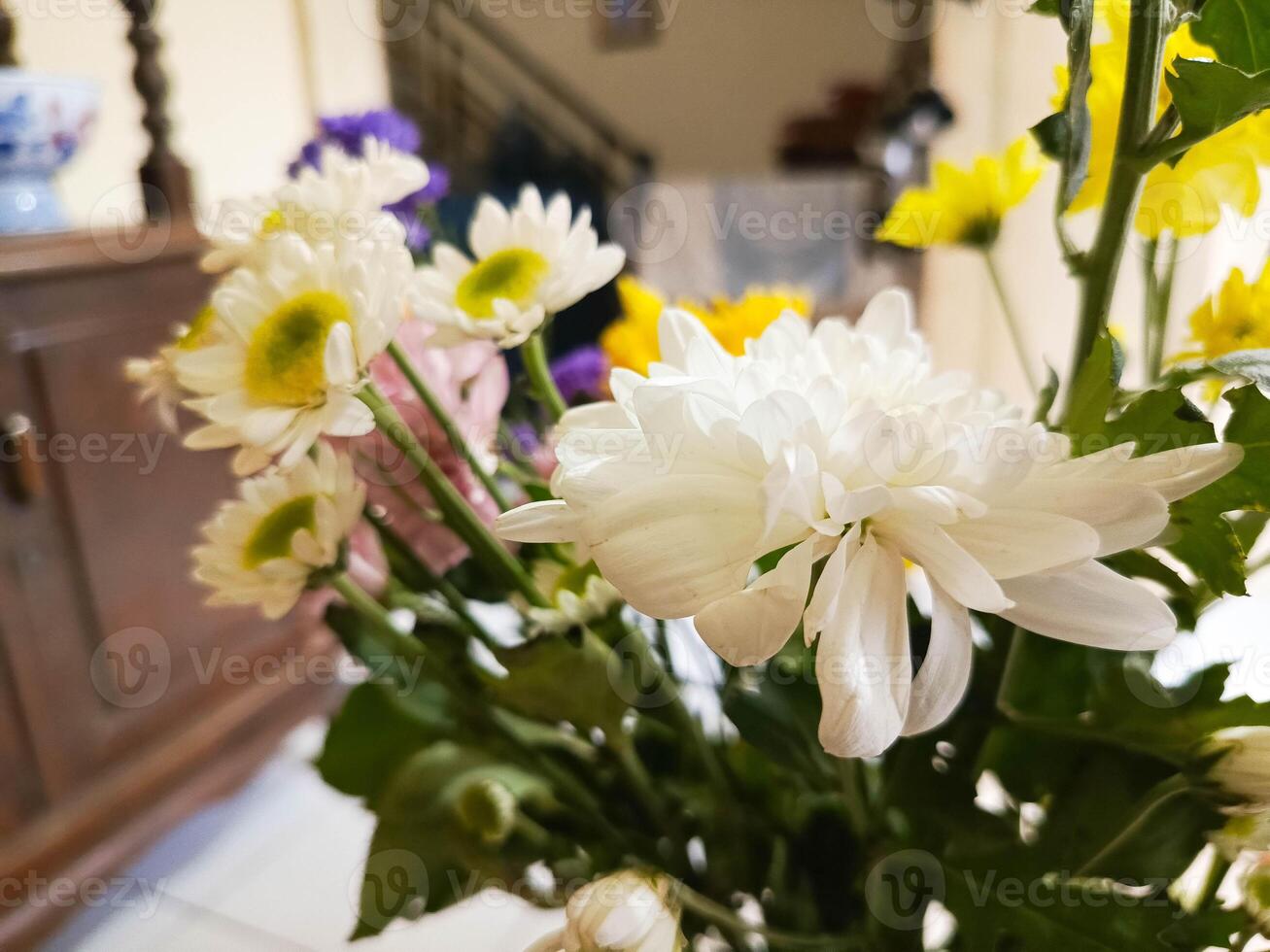 Photos of various types of flowers in beautiful vases are good for banners