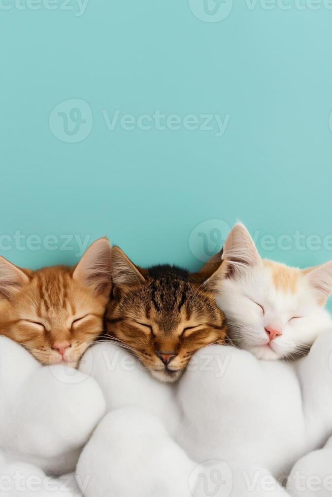 Pet animals snoozing on enchanted cloud beds background with empty space for text photo
