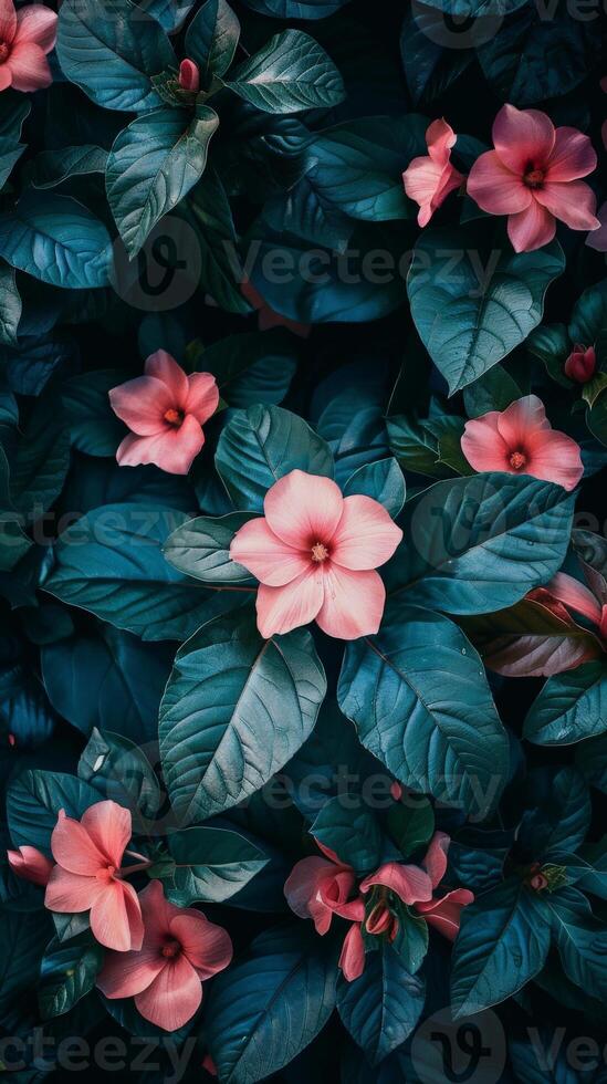 Pink flowers blooming in a lush green foliage photo