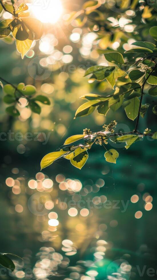 Sunlight filters through leaves, casting shimmering reflections on the water photo
