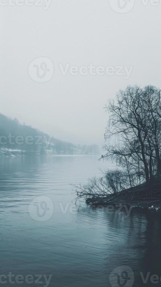 A calm, misty river with a solitary tree silhouetted on the bank photo