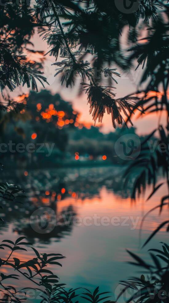 Dark silhouettes of branches frame a tranquil sunset over a lake photo