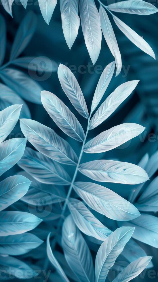 Teal foliage, lush and vibrant, evokes a tranquil atmosphere photo