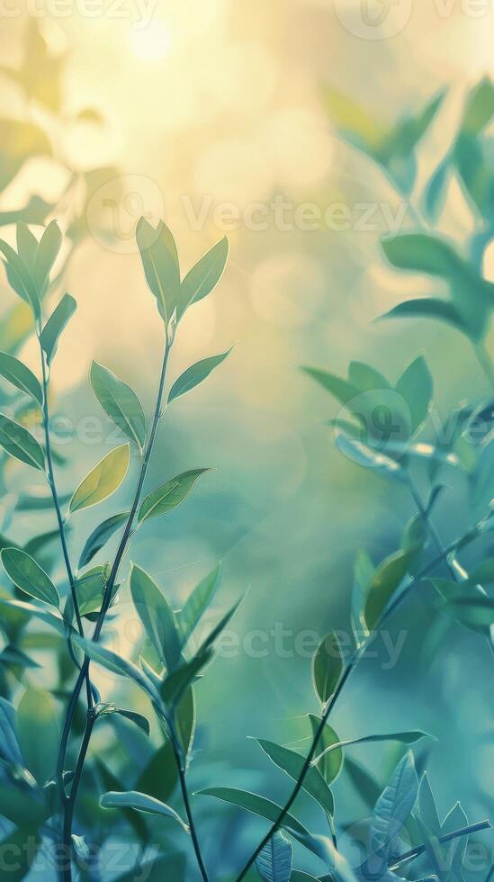 Lush green leaves bathed in warm sunlight photo