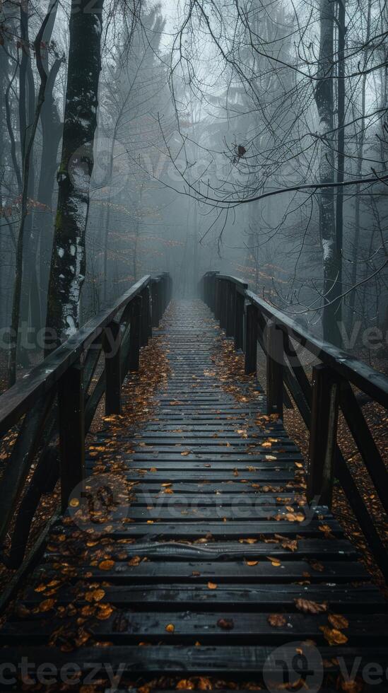 A wooden bridge extends into a misty forest photo