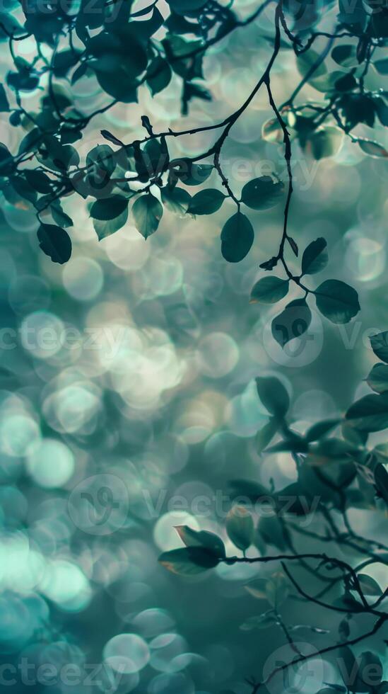 Softly lit leaves create a calming and ethereal scene photo