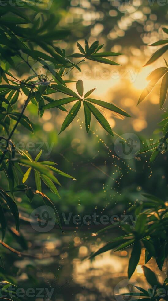 Sunlight streams through verdant leaves photo