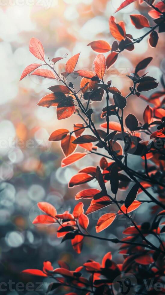 Red and orange leaves on a branch in a forest photo