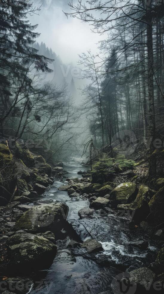 A river flows through a dense forest on a foggy morning photo