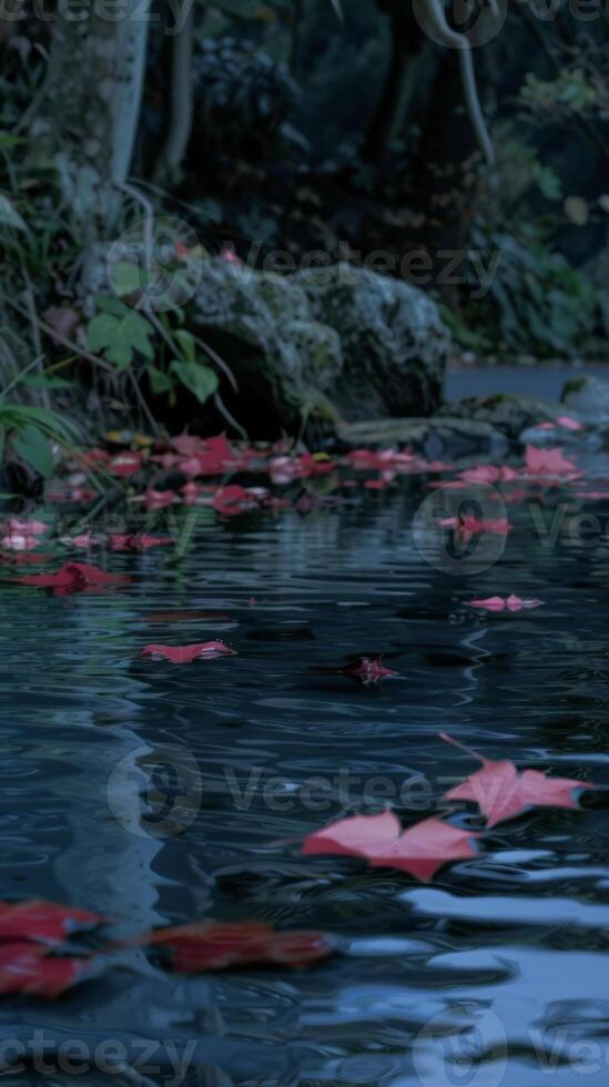 Red leaves float gently on a still pond in a lush forest photo
