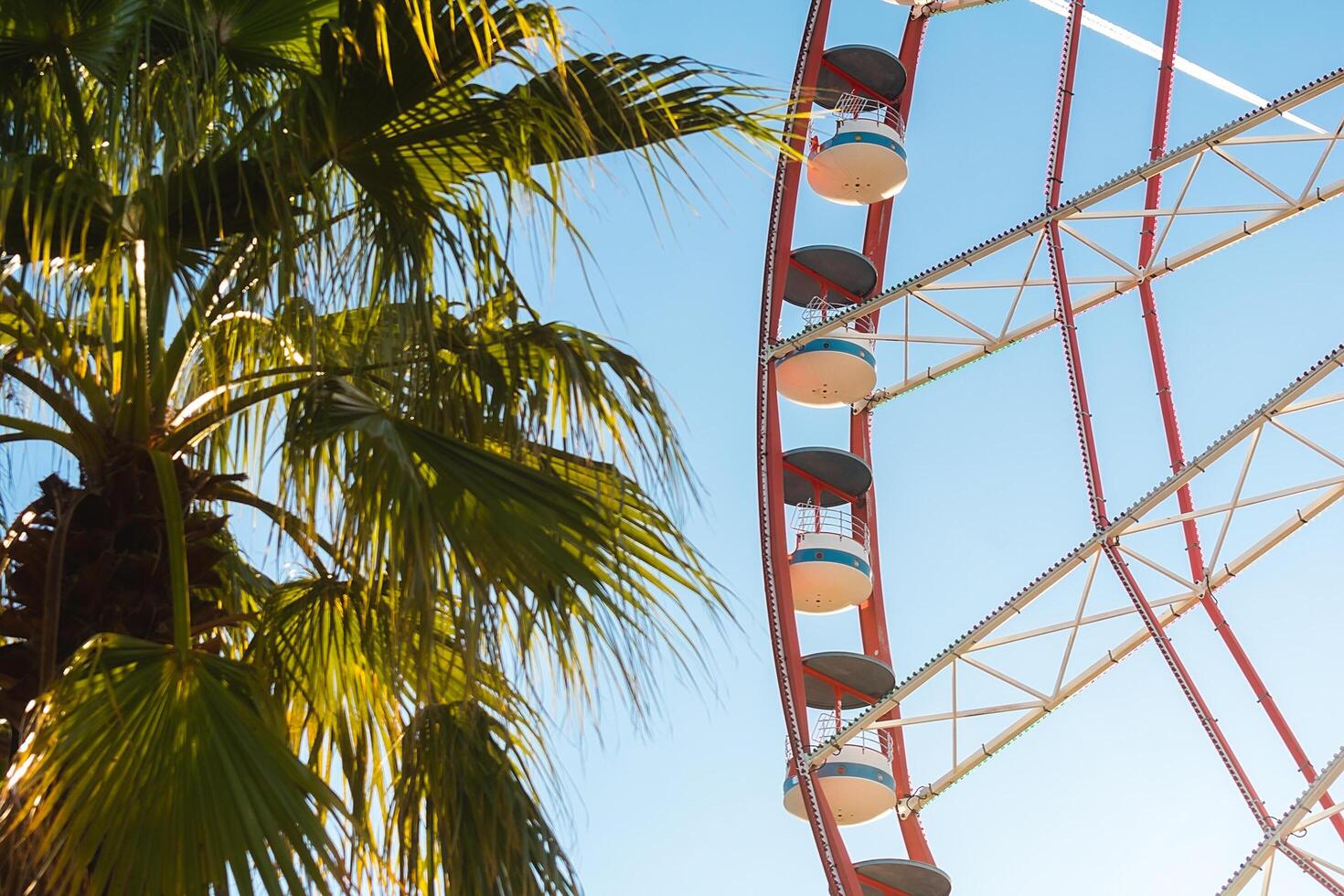 View of the Ferris wheel attraction against a background of blue sky between palm trees. Ferris wheel in the Georgian city of Batumi. photo