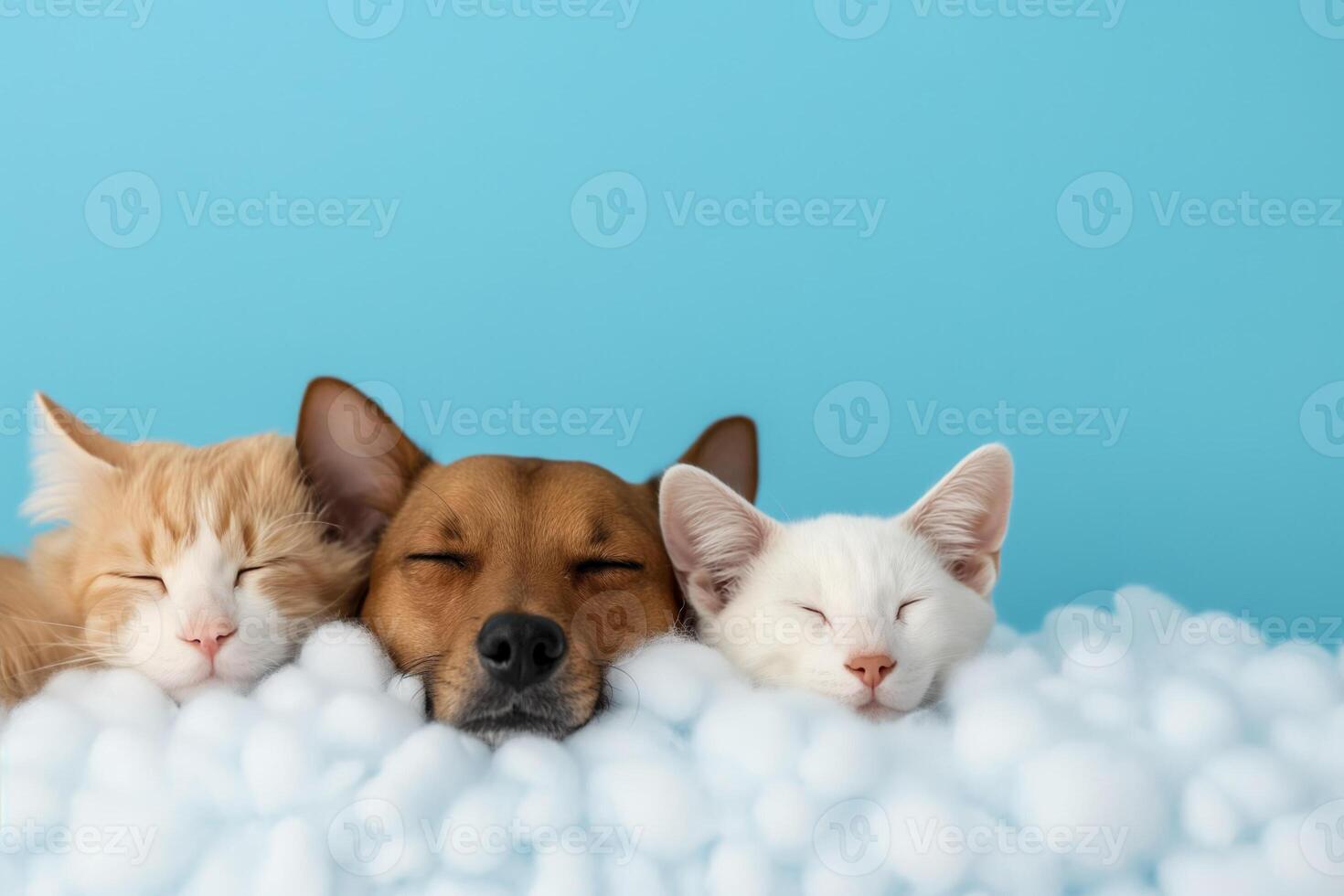 Pet animals snoozing on enchanted cloud beds background with empty space for text photo