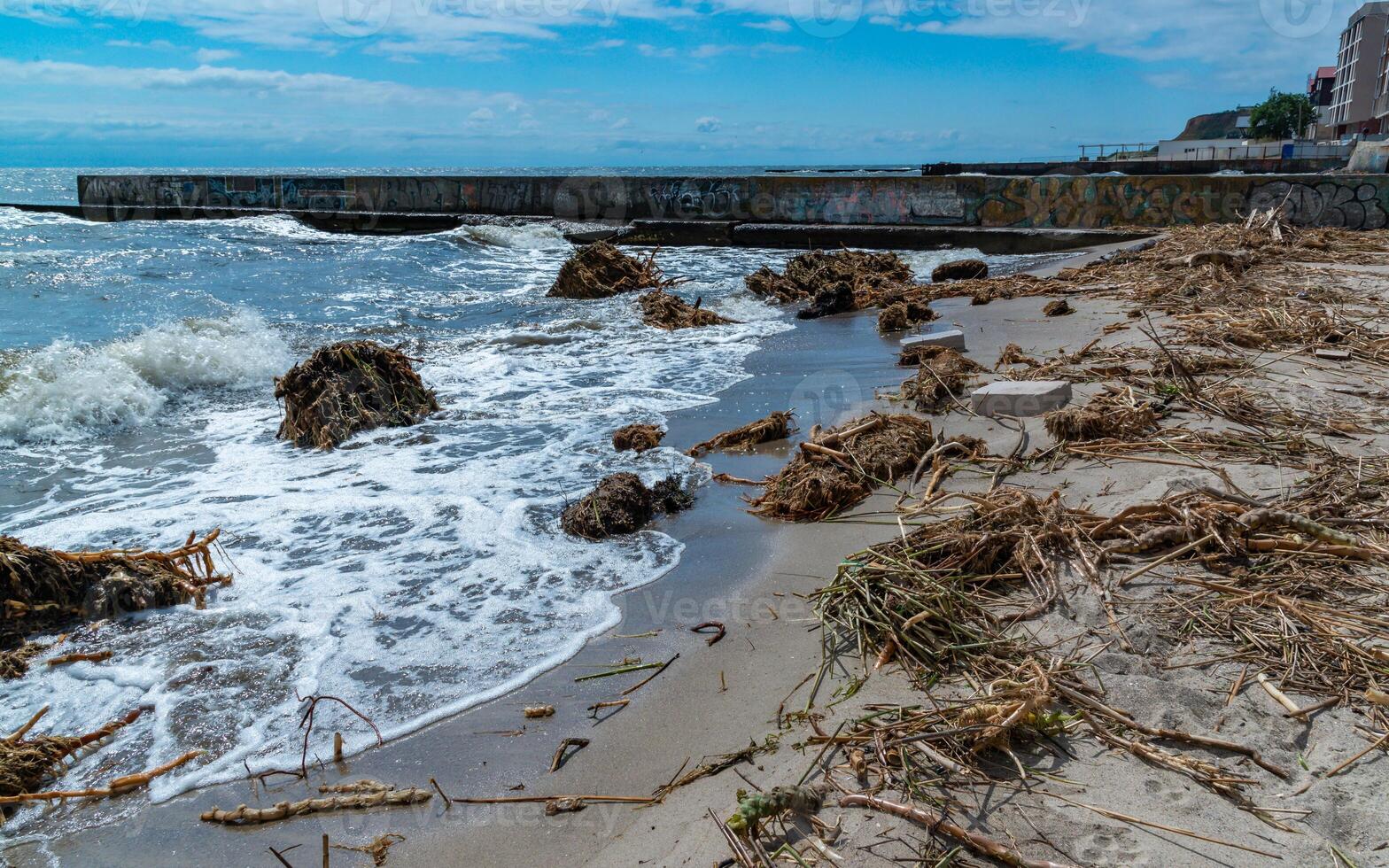 Accident at the Kakhovskaya hydroelectric power station, pollution of beaches with plastic debris and the remains of river plants brought by water photo