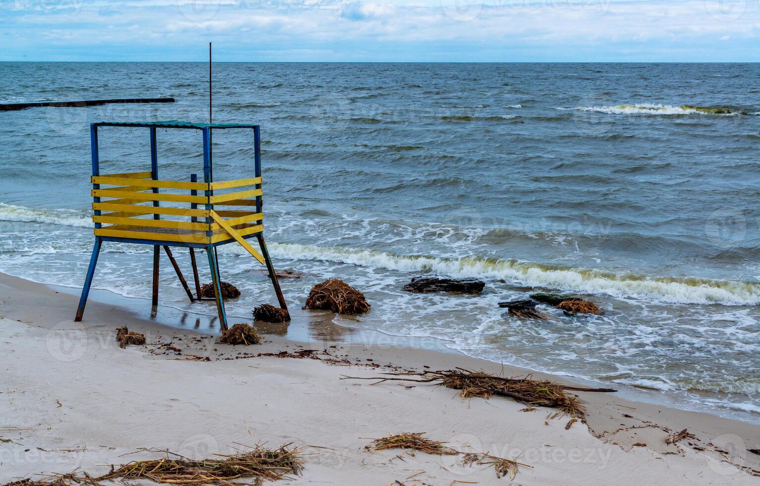 Consequences of the Accident at the Kakhovka power plant, pollution of the beaches of Odessa with garbage and plant remains brought by water photo