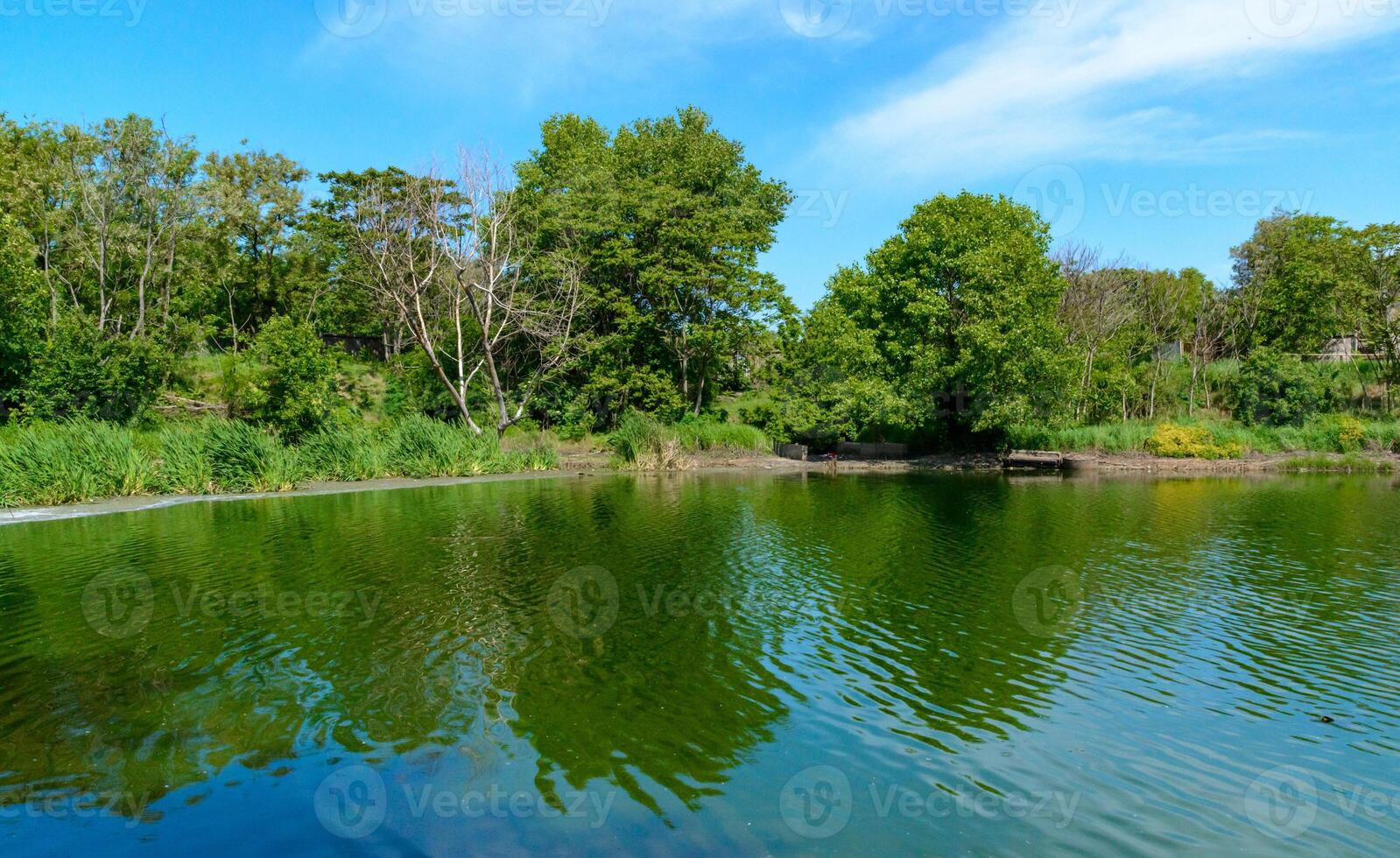 Green lake reflecting the trees on its bank on a sunny day photo