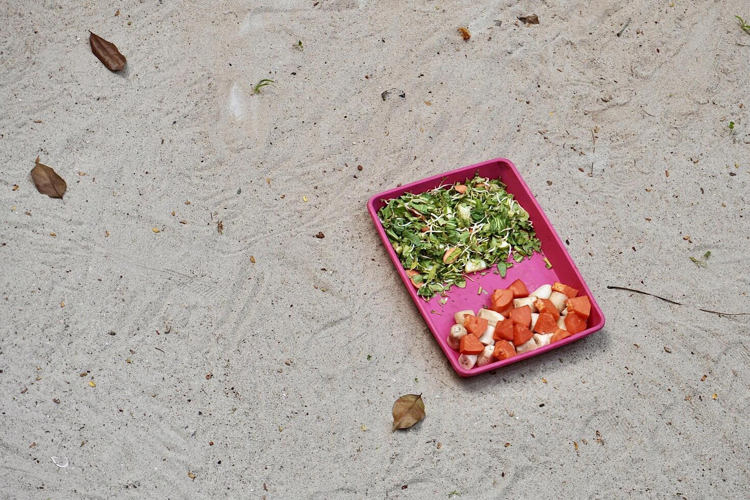 Pink tray with sliced vegetables, papaya, and banana fruits in tortoise or turtle zoo habitat sand ground environment copy spaced background. photo