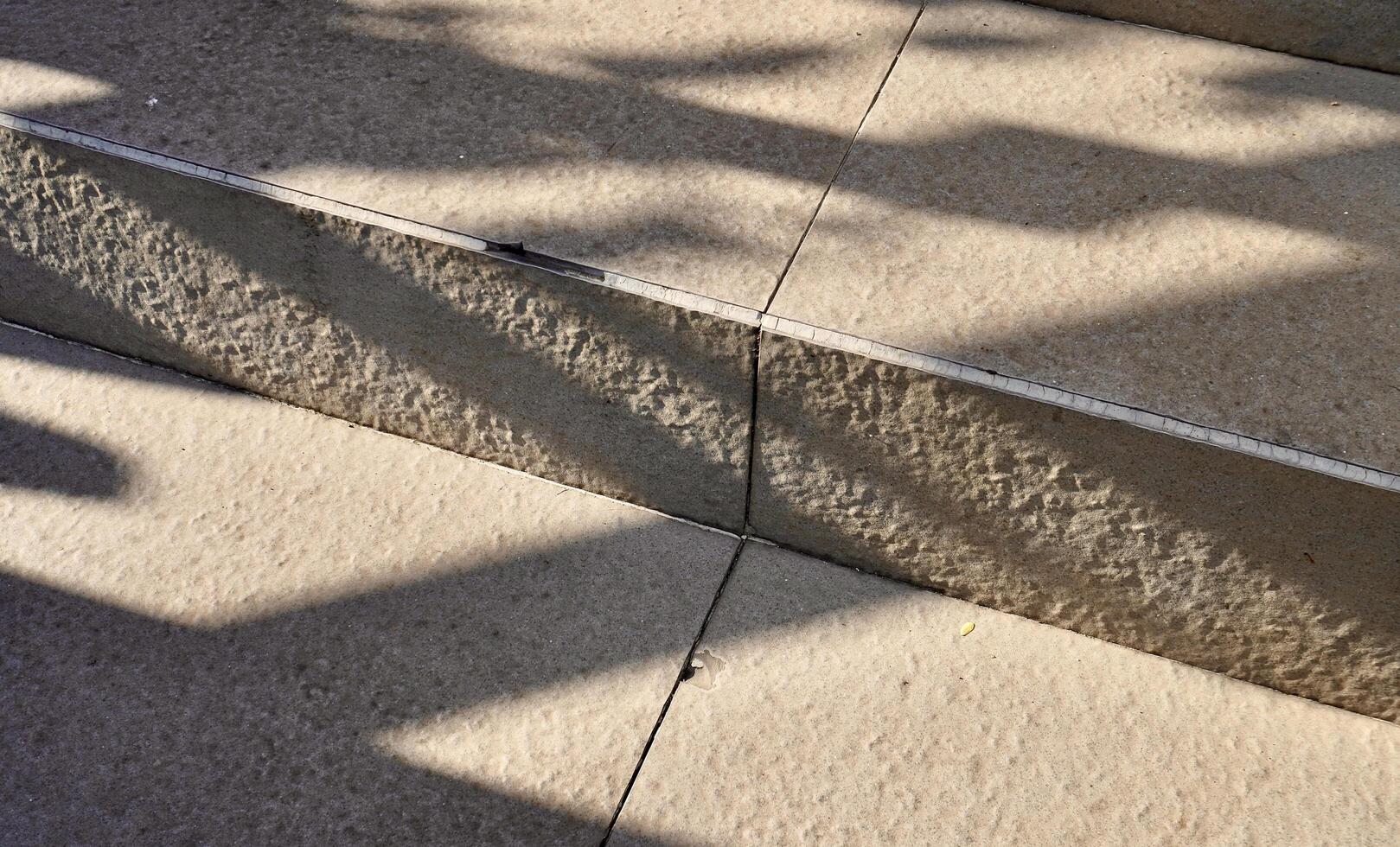 Warm sun lights on staircase surface floor with plants and roof structure shadows isolated on horizontal ratio background. photo