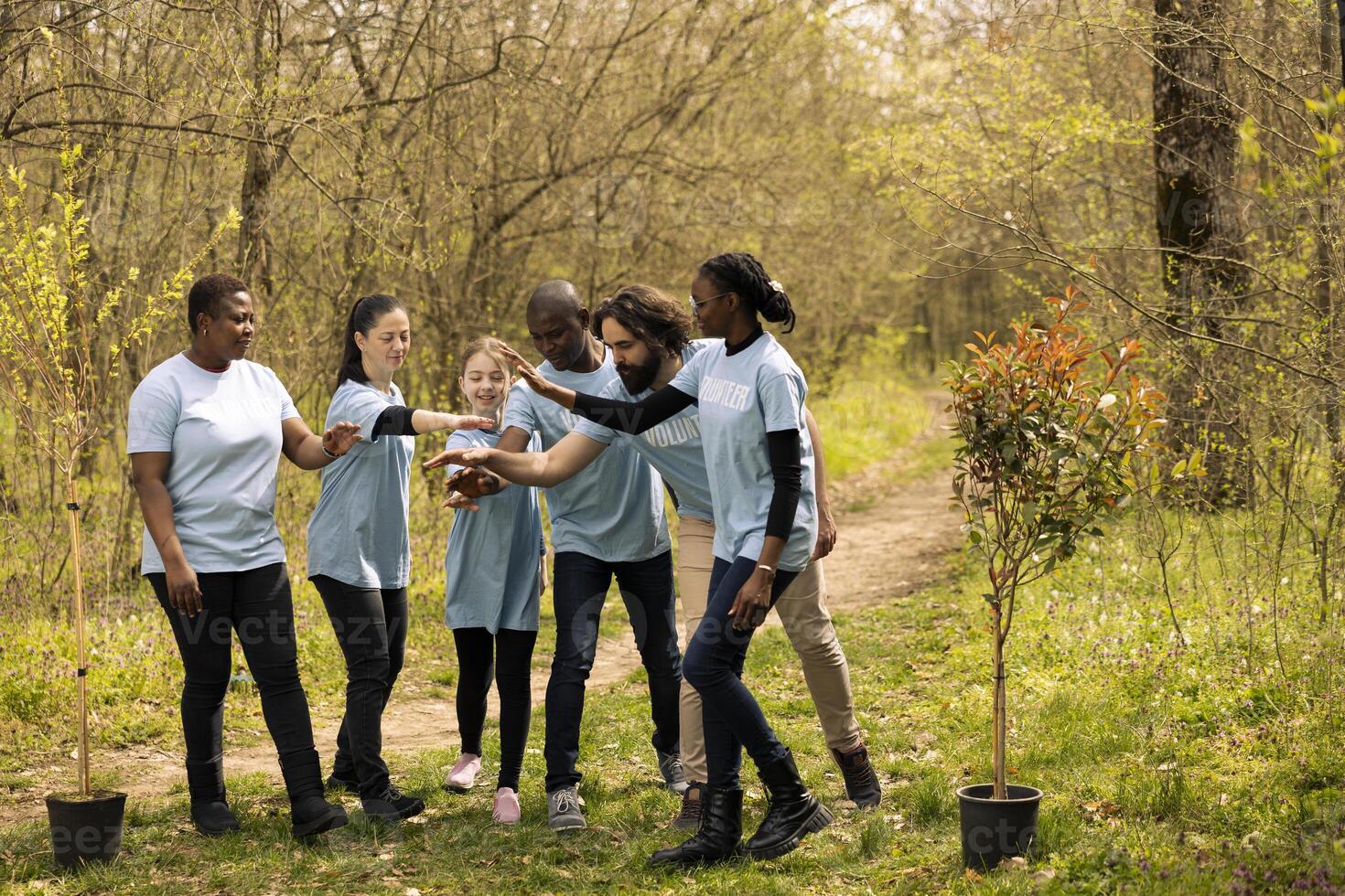 Satisfied group of volunteers link hands in celebration as they team up to restore the damaged forests. Happy people unite to sow plants, feeling committed to the biological responsibility. photo