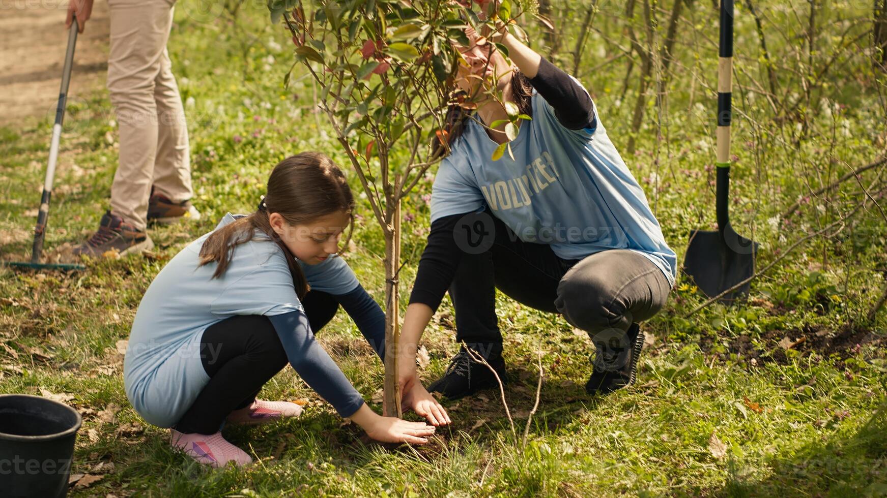 Team of environment activists digging holes and planting seeds to grow more trees and preserve the natural forest surroundings. Volunteers working on nurturing nature and ecosystem. Camera A. photo