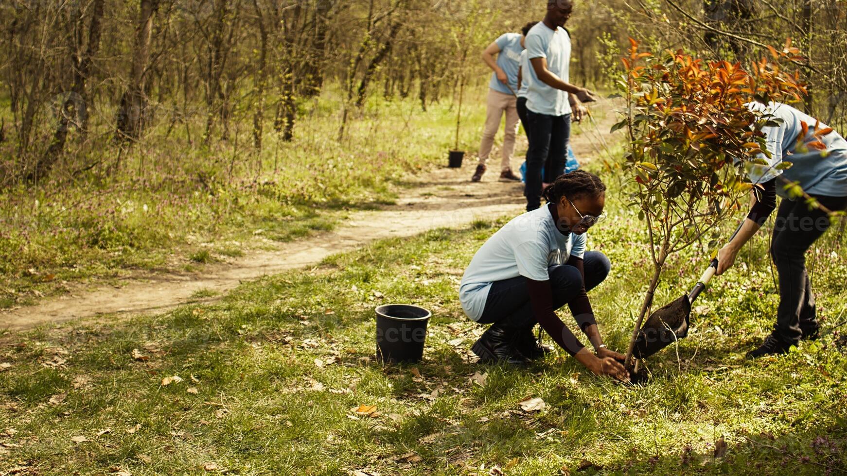 Team of climate change activists doing voluntary work to plant trees, protect natural forest habitat. Planting seedings for future generations, giving life and helping the earth. Camera B. photo