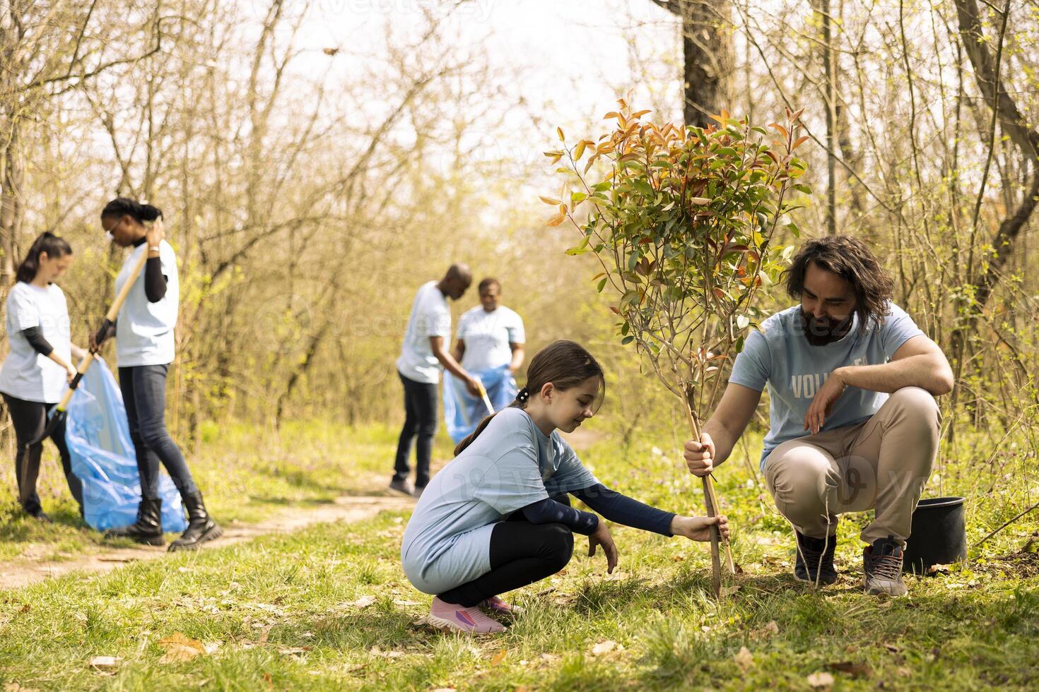 Volunteer and small girl collaborate on planting a tree together in the woods, helping the natural ecosystem. Activists volunteering to preserve forest habitat and increase vegetation. photo