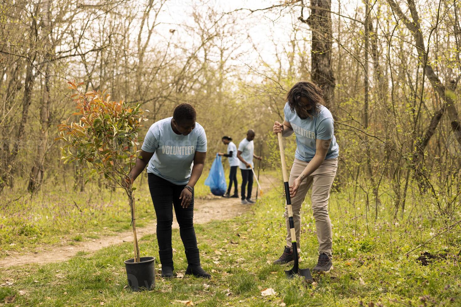 Group of activists working with shovel to plant new seedlings around the forest, digging up holes and installing trees seeds for nature conservation project. Diverse team take action. photo